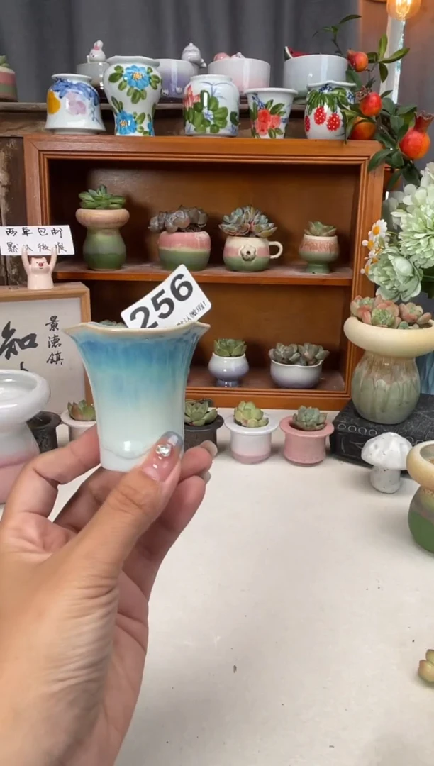 瓷片256知木小芳花盆