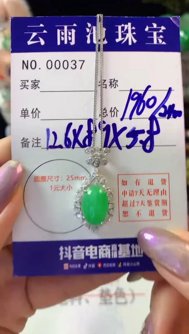 翡翠银S925镶嵌颈饰翡翠