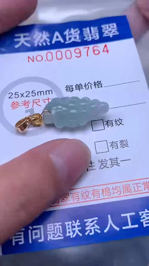 翡翠未镶嵌吊坠(不含链)1