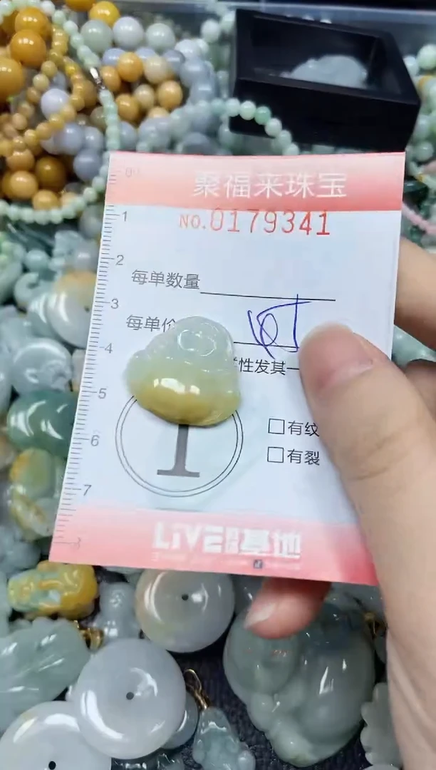 翡翠未镶嵌颈饰闪购0179341