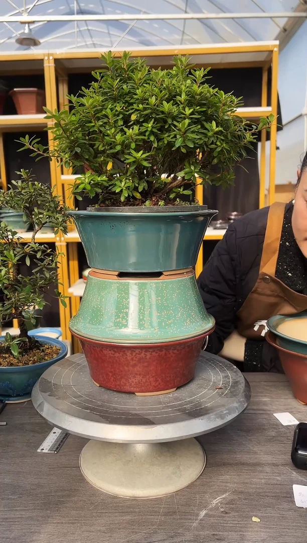 62号三色组合链接