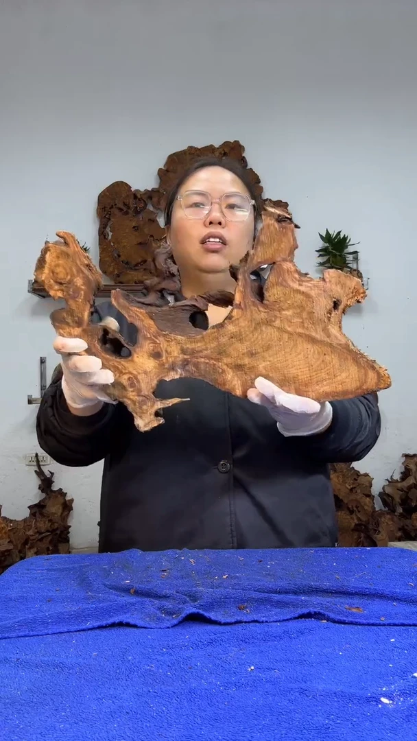 香杉树根瘤板材原料