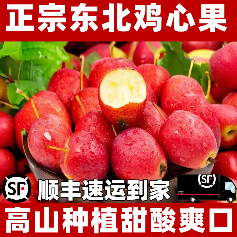 东北特产鸡心果【锦绣海棠】迷你小苹果新鲜采摘脆甜多汁当季水果