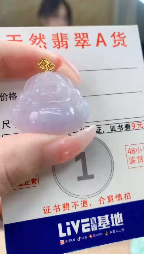 颈饰未镶嵌翡翠天然A货翡翠挂件