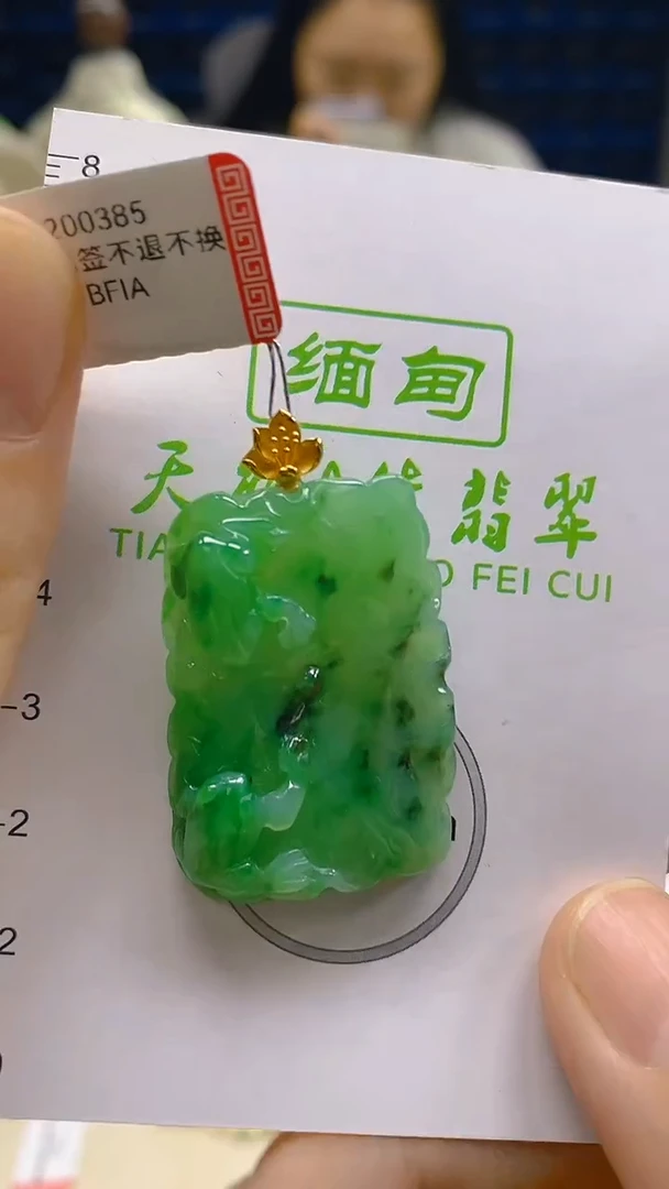 翡翠18K金镶嵌颈饰新号开播 全场乱卖