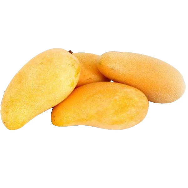 【4斤】黄金芒大果散装4斤