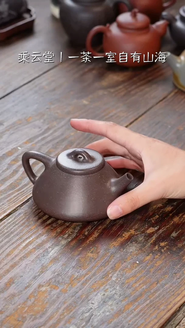 茶杯紫砂范云峰石瓢全