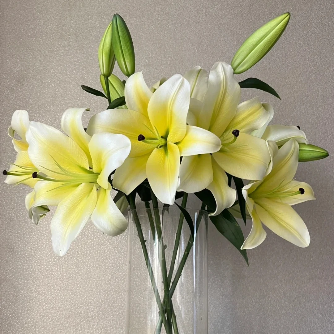 随机品种黄百合10个花苞 两单升级顺丰冷链  收到需醒花
