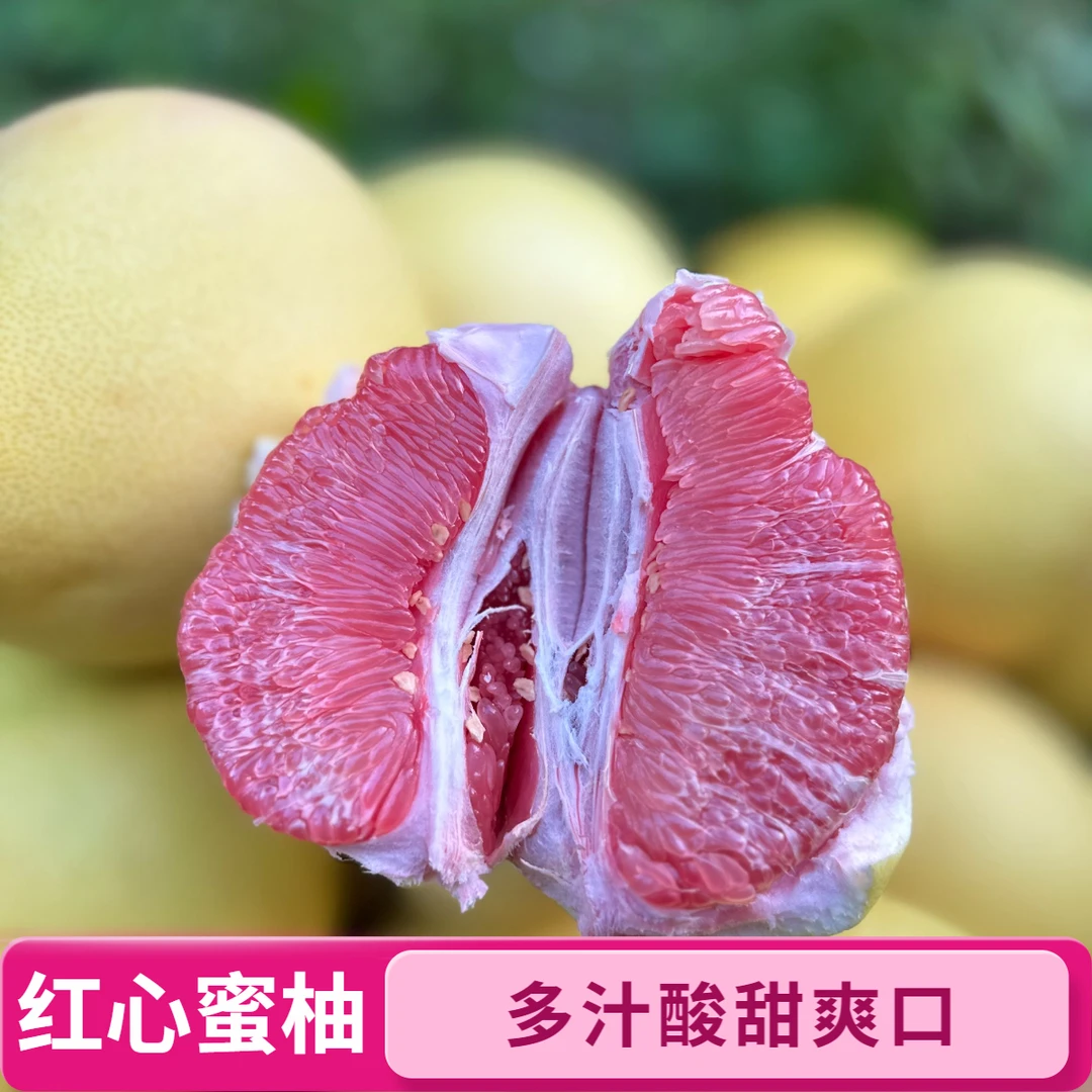福建平和老树红肉蜜柚新鲜采摘酸甜多汁