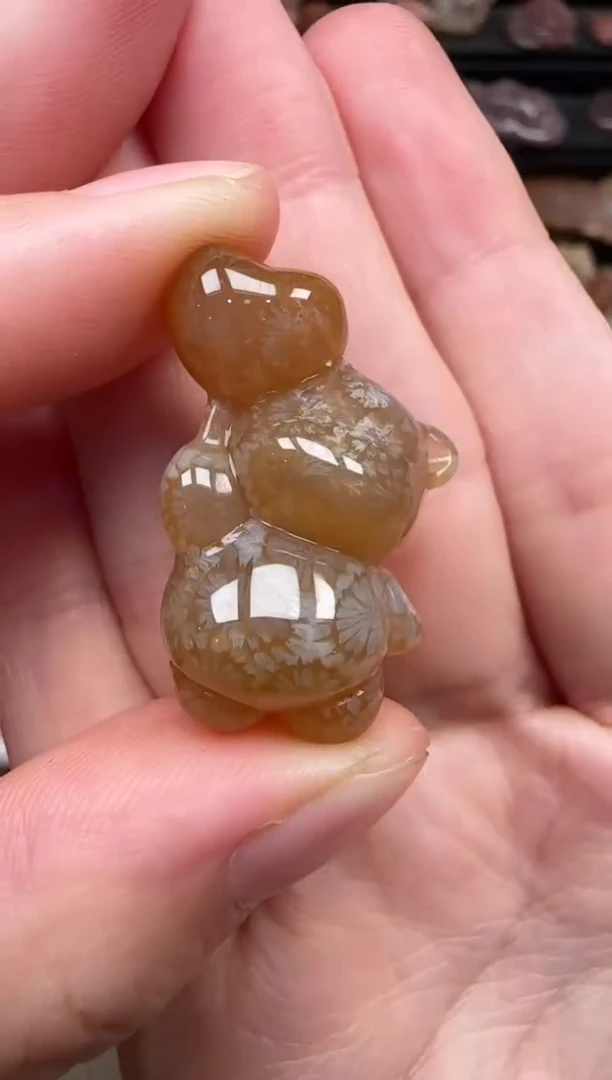 颈饰未镶嵌硅化珊瑚(珊瑚玉)233