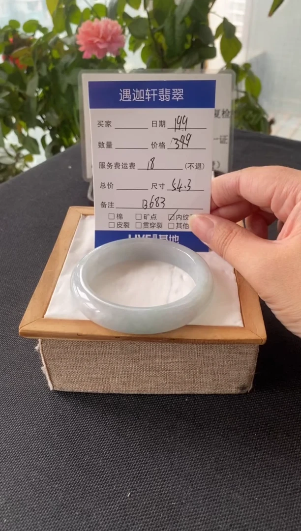未镶嵌手镯翡翠54.3圈口 B683编码