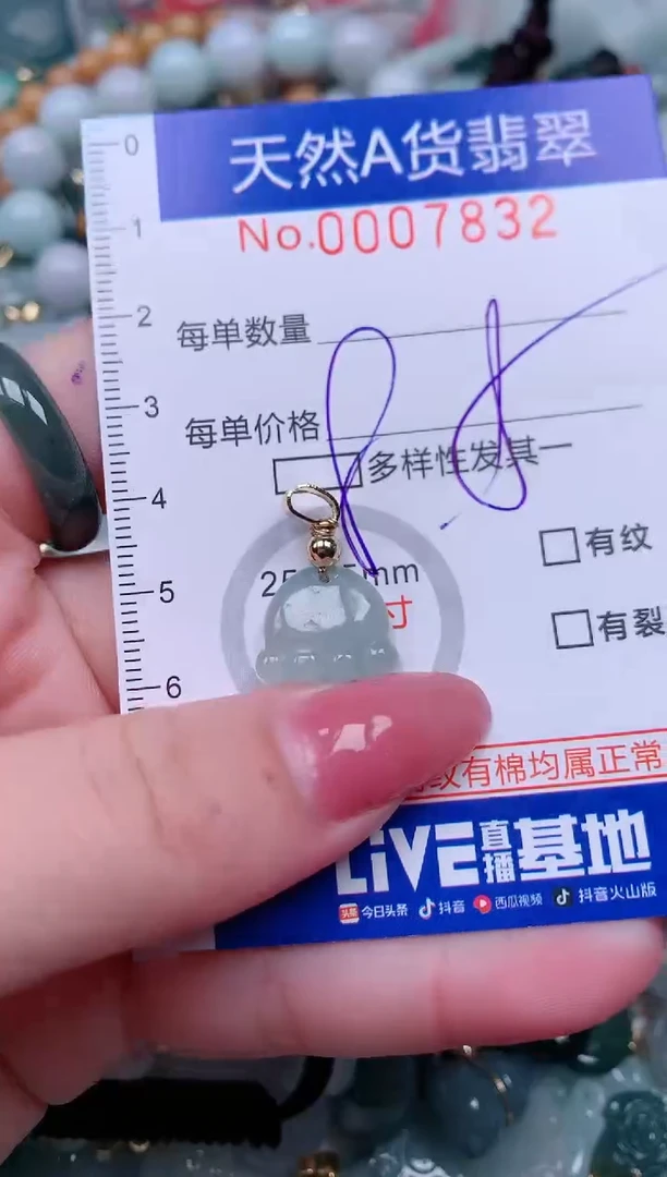 【闪购商品】翡翠颈饰未镶嵌00007832