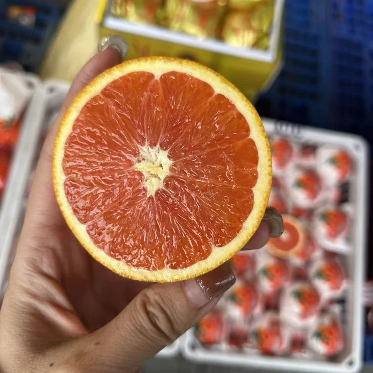 【血橙】酸甜可口，汁水足    4个（780-800g左右）