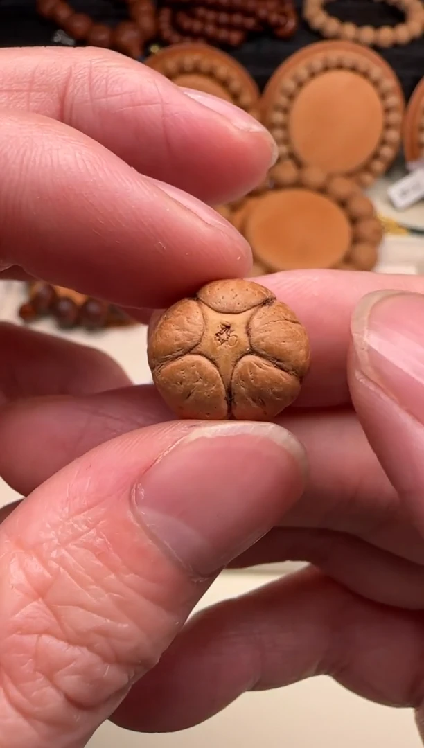 【闪购商品】凤眼菩提吊坠31号五星