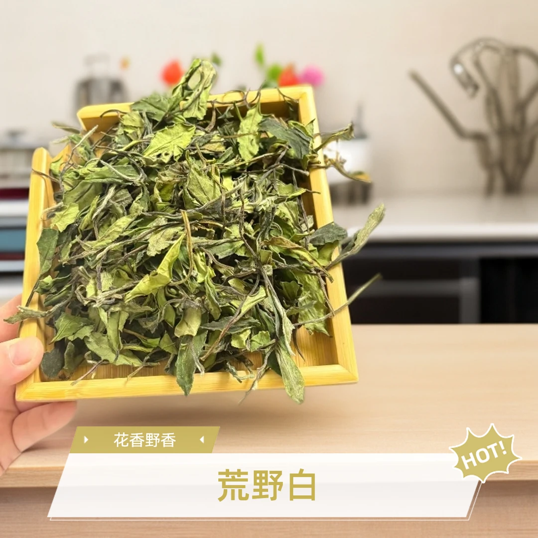 【荒野白】 2025年政和白茶 高山荒野茶花野香 挂杯具香 宠粉价