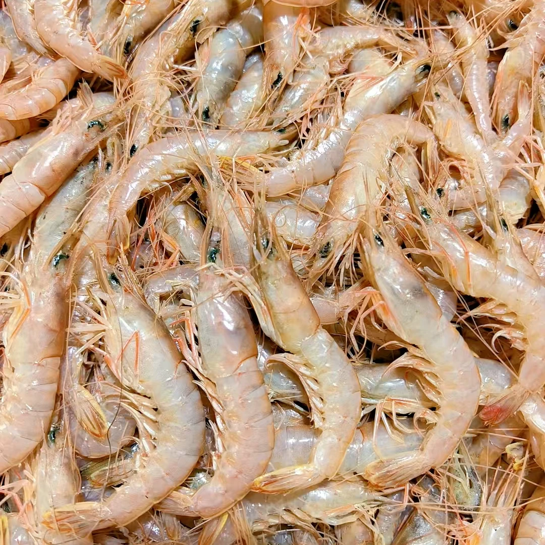 俩好先生海鲜野生新鲜蛎虾色虾鹰爪虾 3斤
