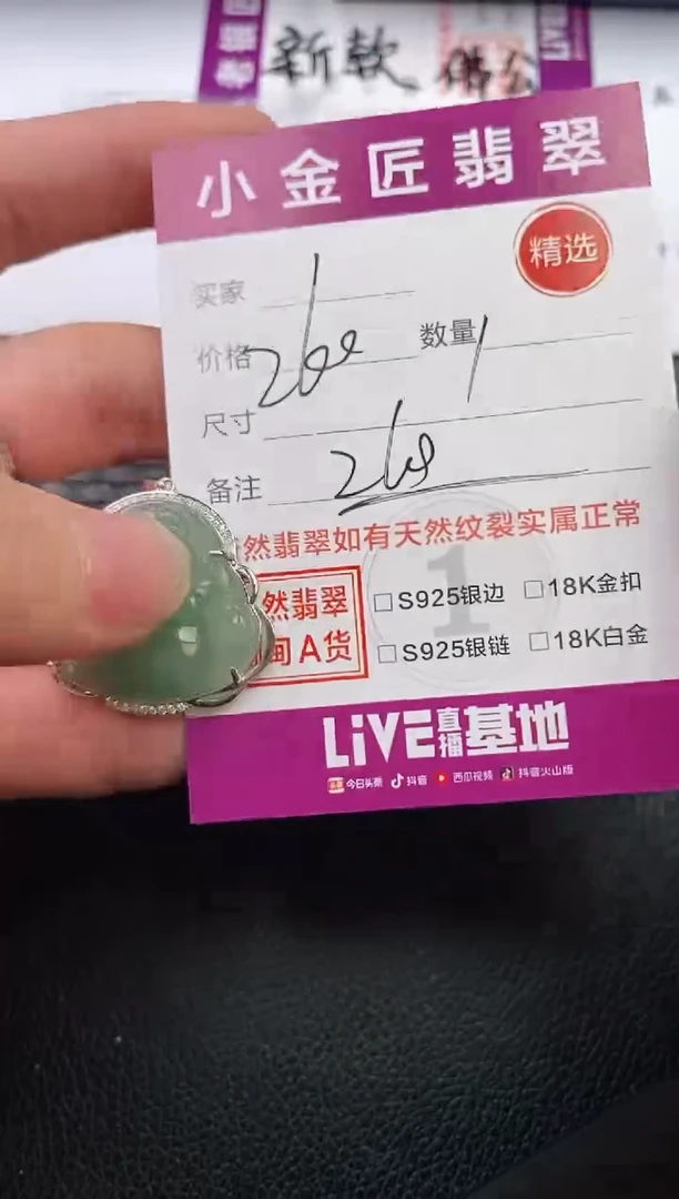 翡翠银S925镶嵌颈饰·