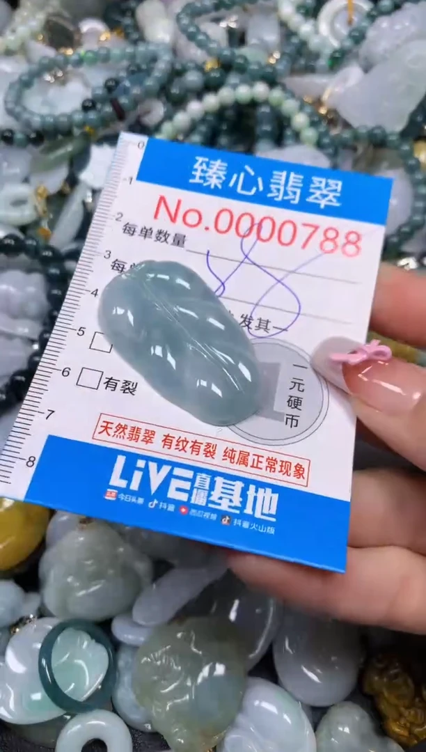 【闪购商品】翡翠颈饰未镶嵌含绳000788