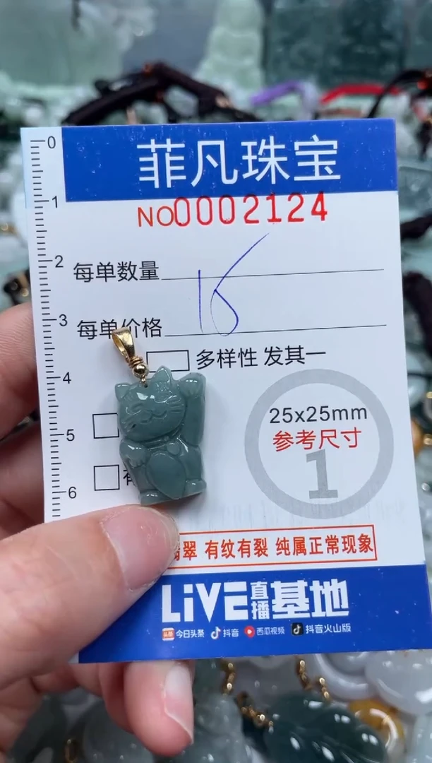 【闪购商品】翡翠颈饰未镶嵌00..2124