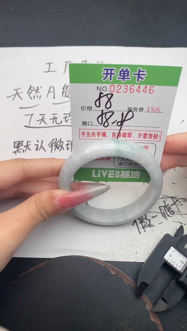 未镶嵌手镯翡翠46