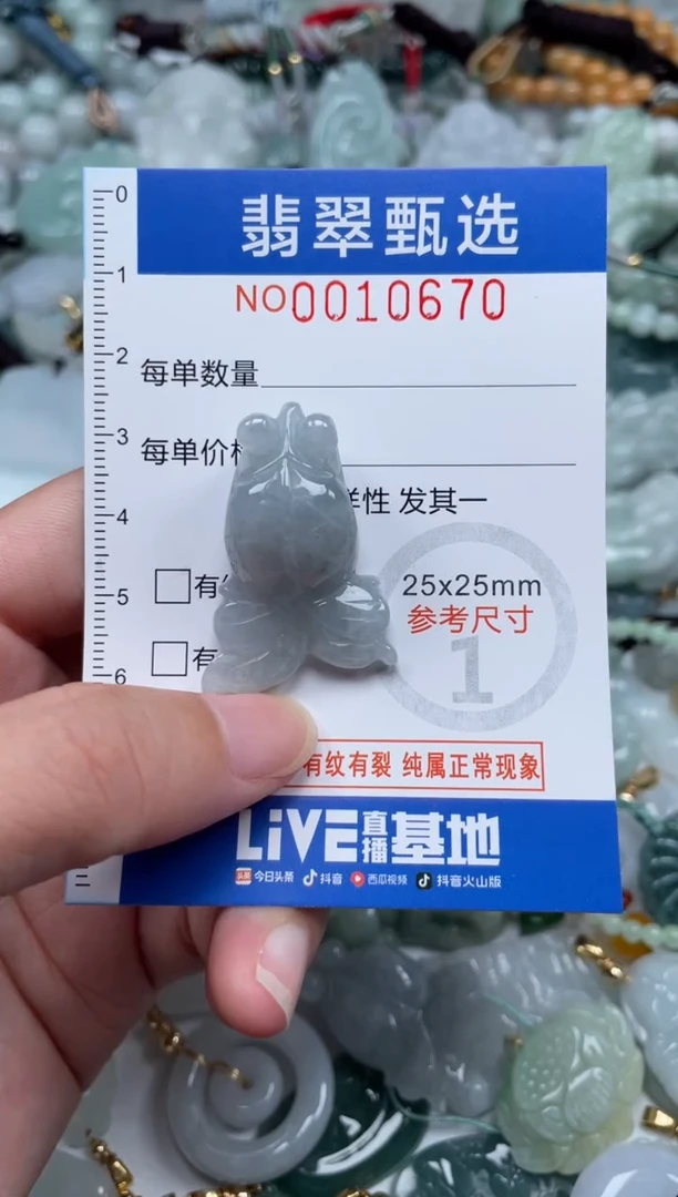 颈饰未镶嵌翡翠10670