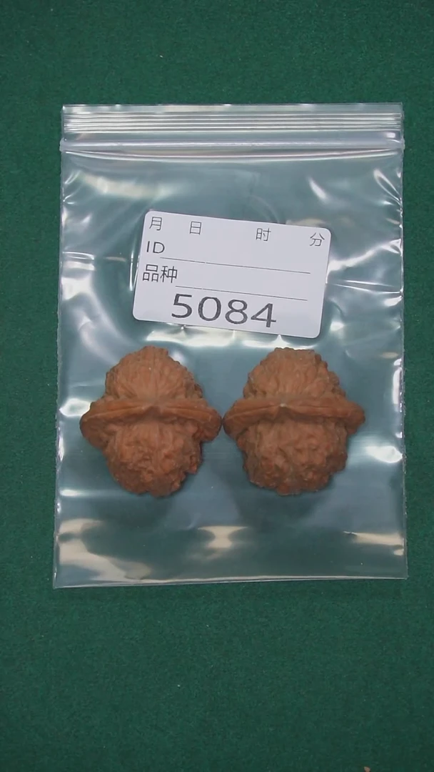 把件文玩核桃晏*36赤龙