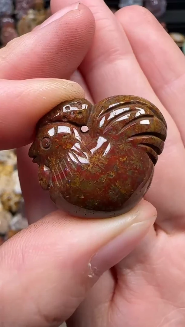 颈饰未镶嵌硅化珊瑚（珊瑚玉）214