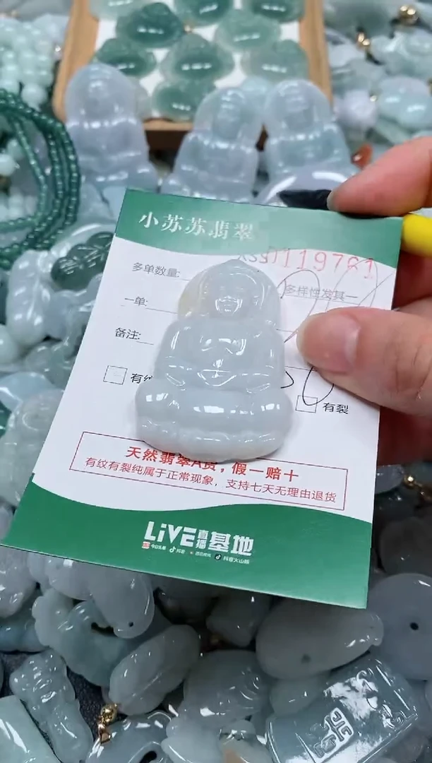 【闪购商品】翡翠颈饰未镶嵌闪购商品0119761