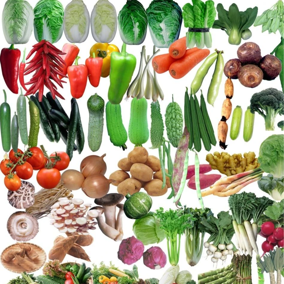 农家其他蔬菜水果