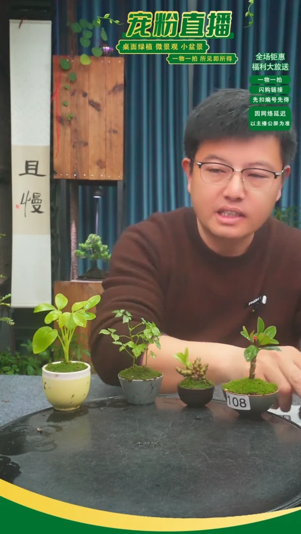 无花朵s****e苔藓微景观108号