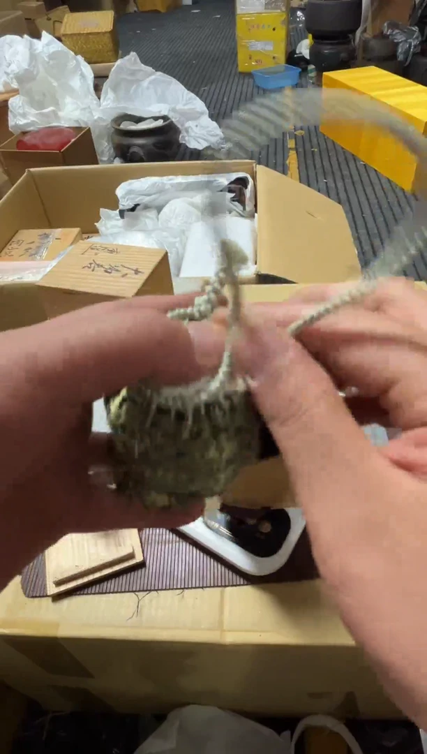 瓷片超*.精品瓷一物一拍定闪