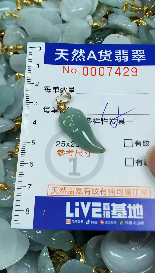 颈饰未镶嵌翡翠纯天然a货翡翠