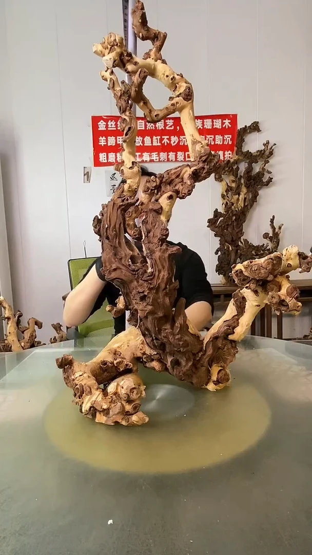 木L***北金丝红木 羊蹄甲