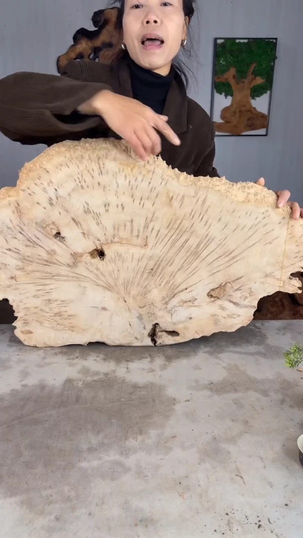 香杉木木头款杉木瘤挂件【原料】037