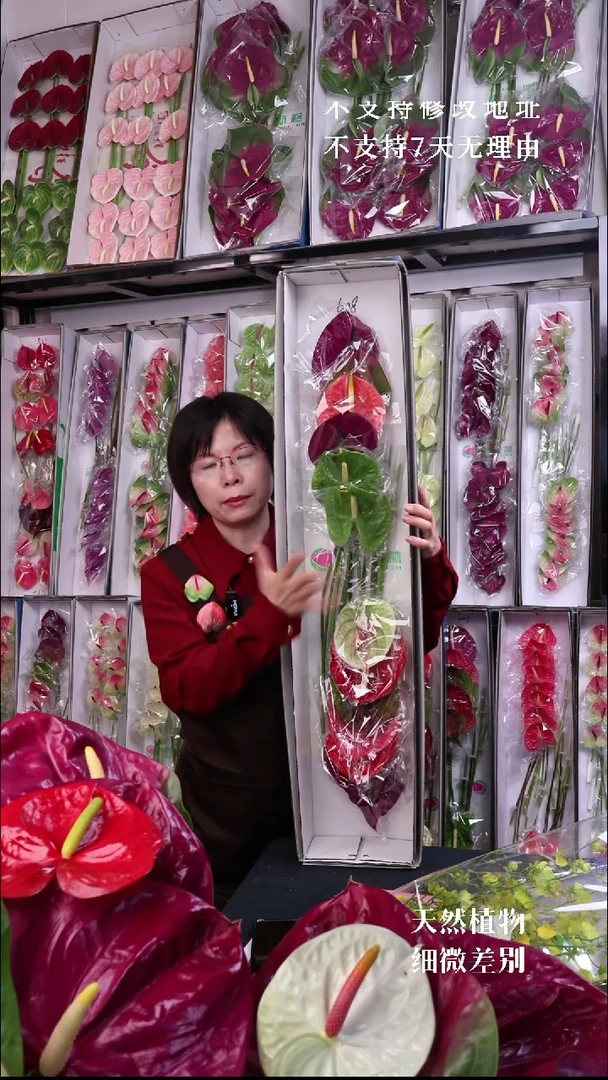 608 混色彩掌12支中掌，微瑕无售后