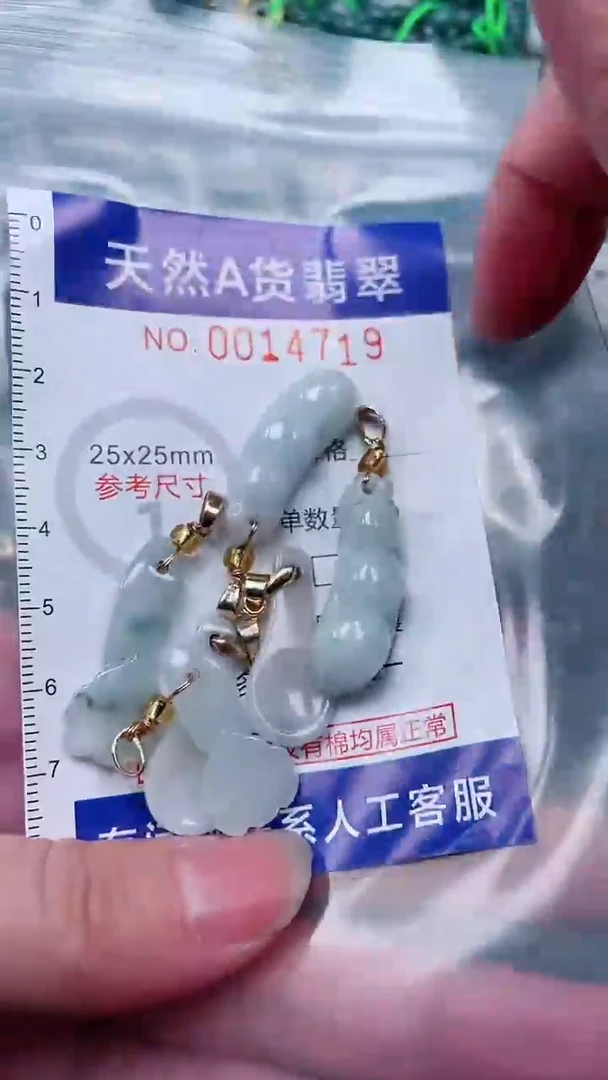 翡翠未镶嵌吊坠(赠链)1