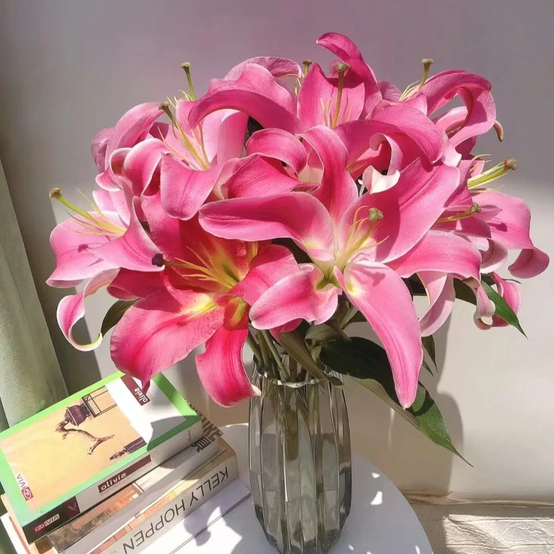 云南鲜花罗兵香水百合好养护产地直发