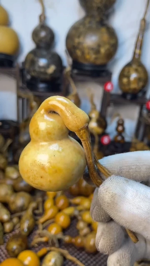 【闪购商品】葫芦葫芦葫芦葫芦