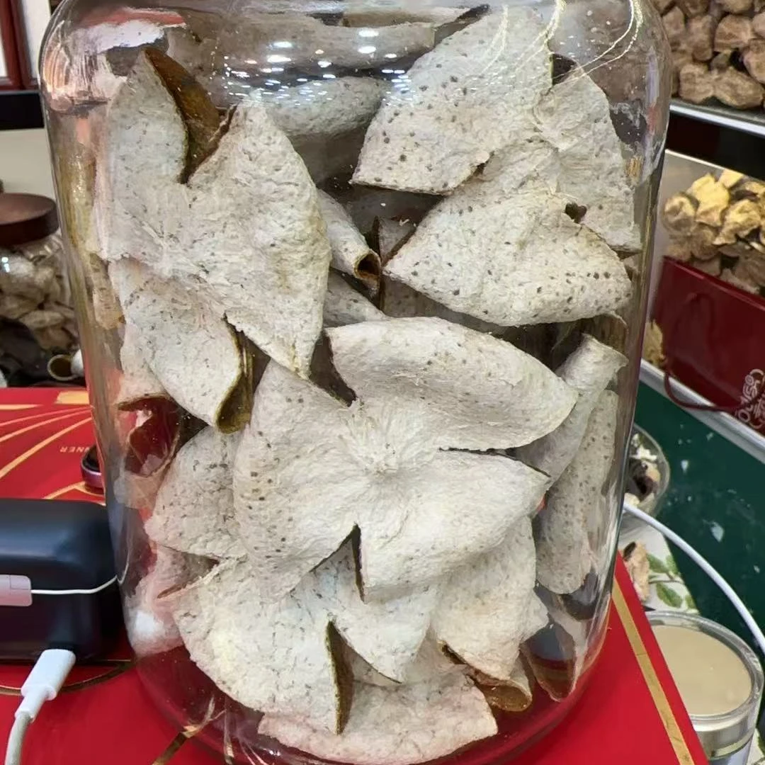 老树大红折花 正宗新会陈皮