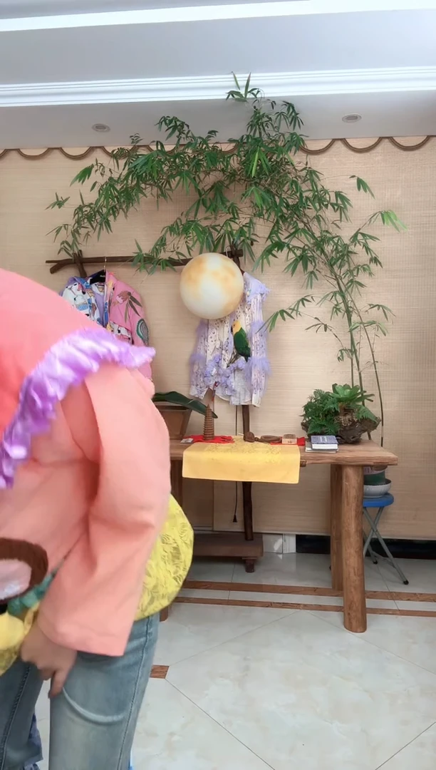 晓***南绿色关公衬衫