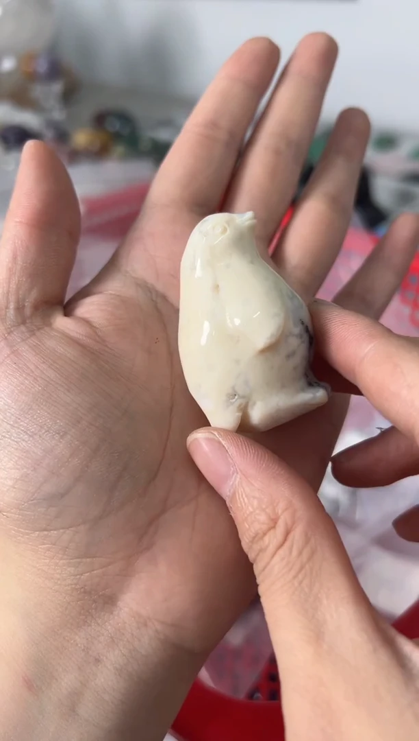 未镶嵌玛瑙/玉髓珠宝奇石M102