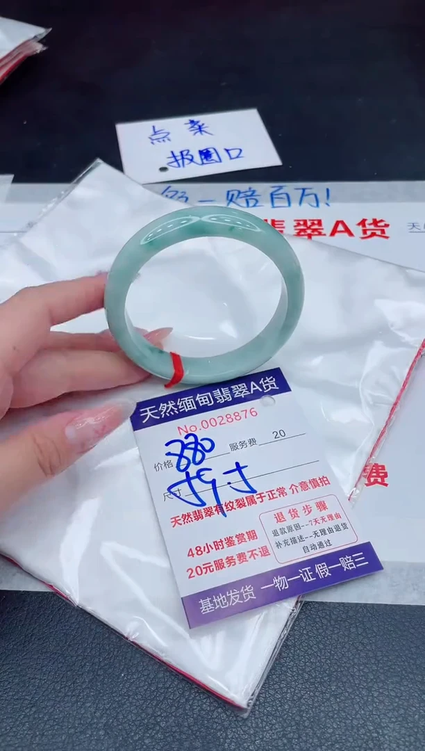 未镶嵌手镯翡翠1