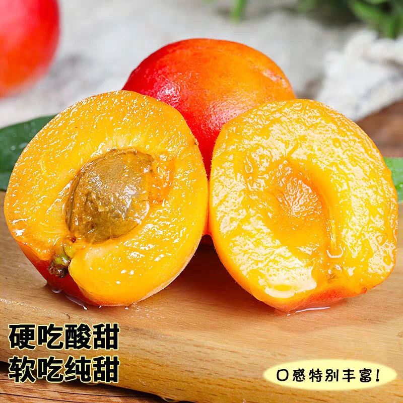 【黑吉云中通专拍】陕西露天胭脂红杏 贵妃红杏2斤/4斤 坏果包赔