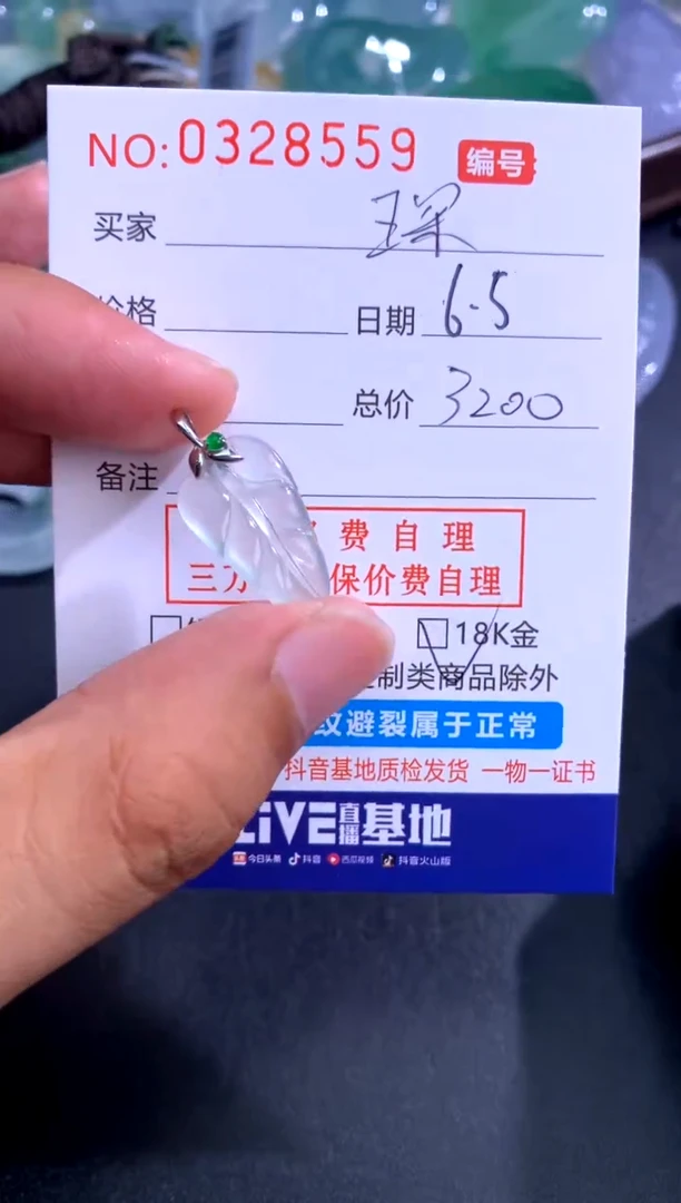 翡翠未镶嵌颈饰 琛