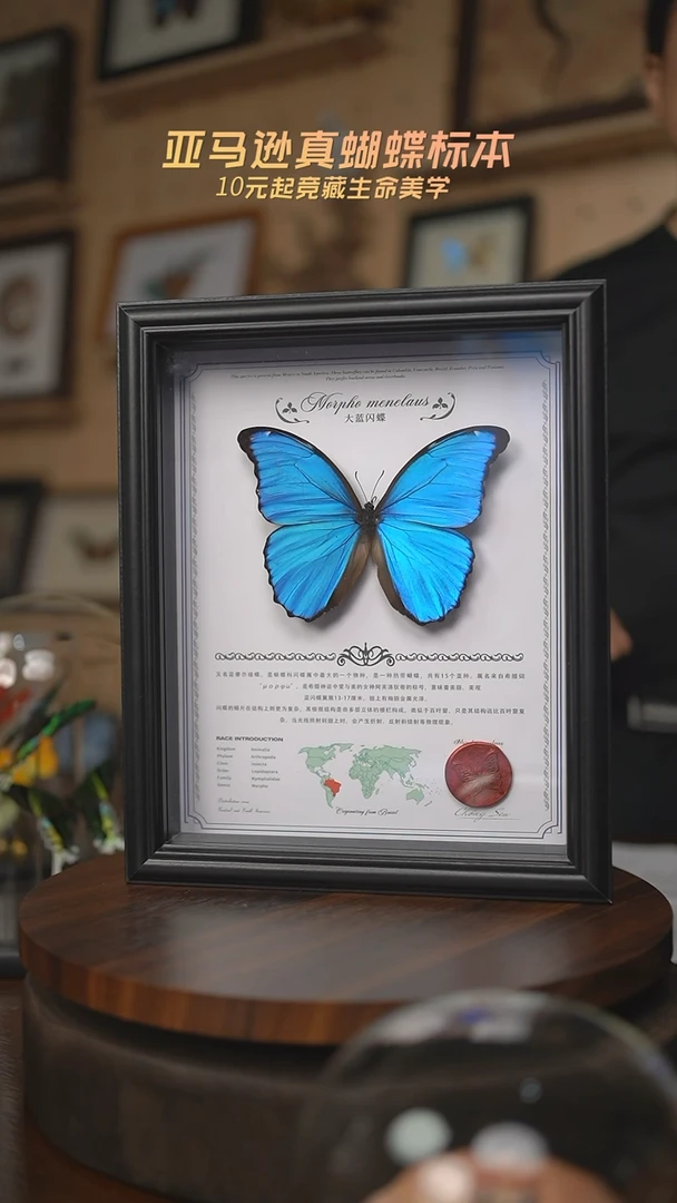 有机玻璃大蓝闪蝶中文地图红色火漆印章