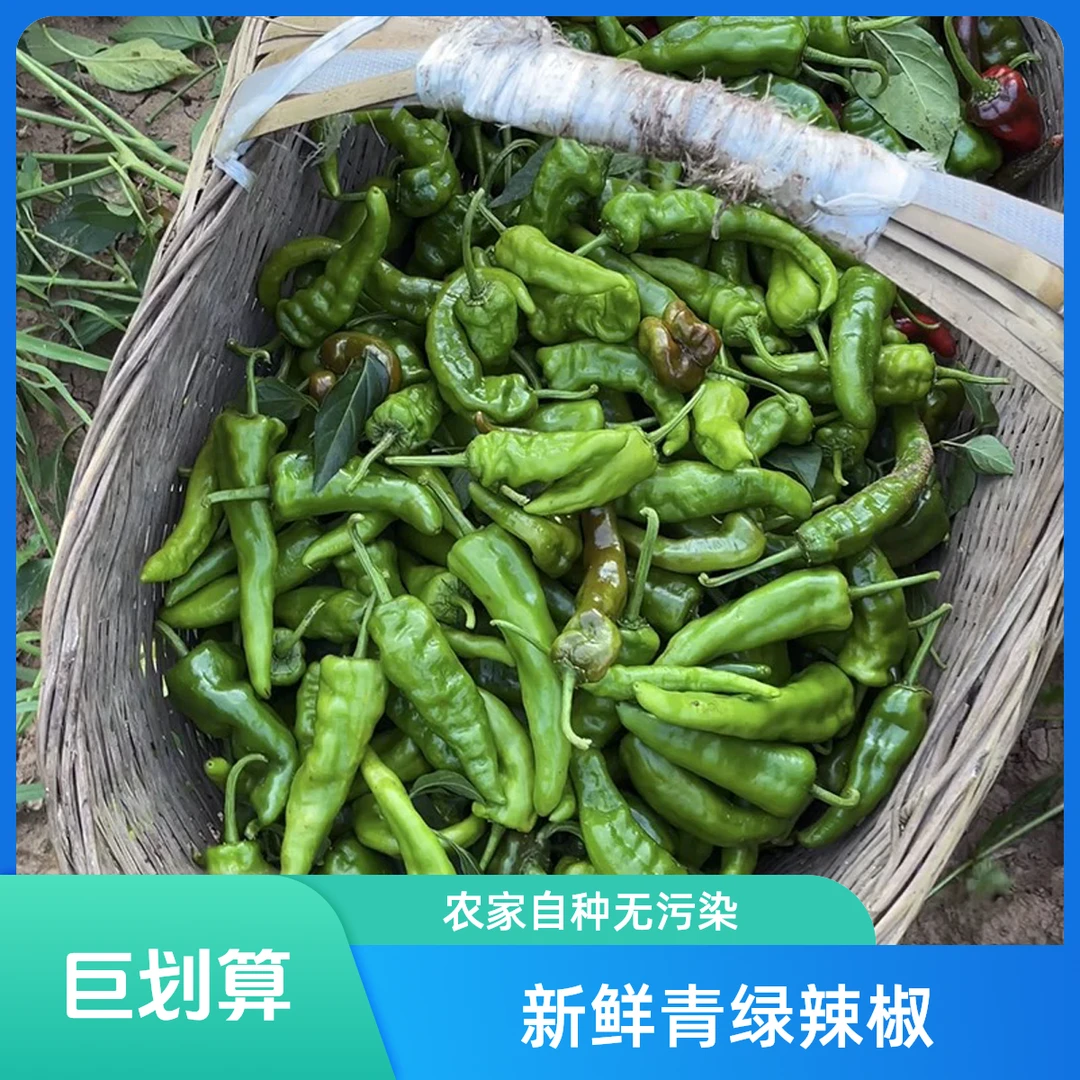 水田埂上的秋辣椒 辣 适合炒肉 做剁椒 3斤包邮