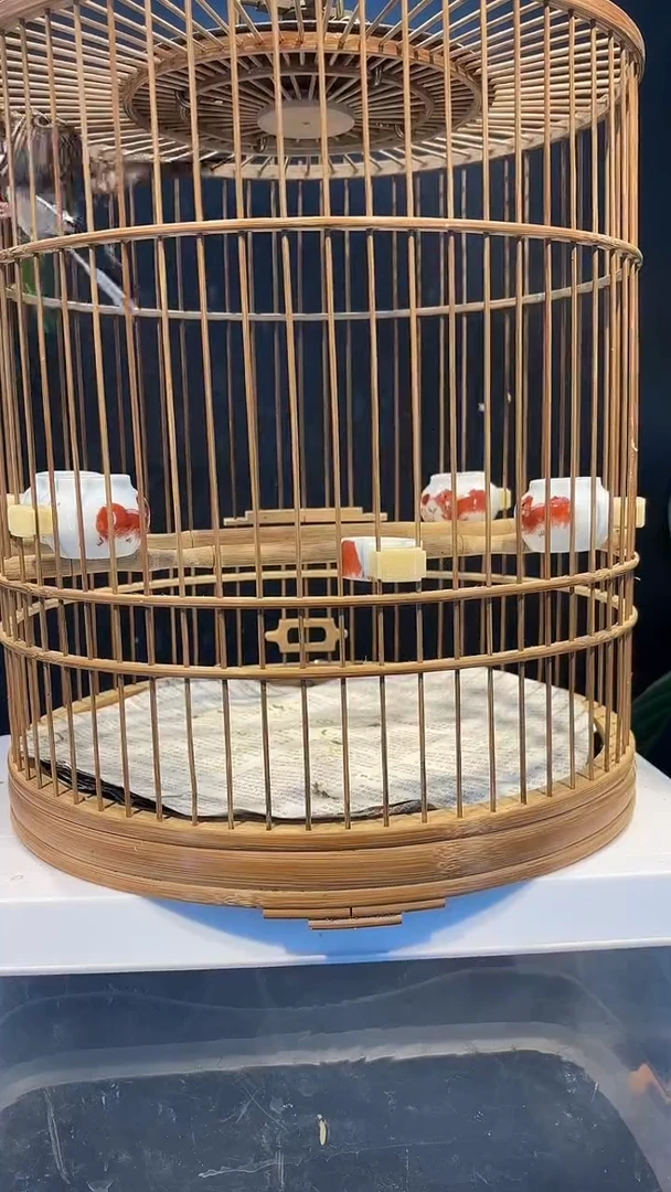 59号  虎头凤养笼  0元起拍