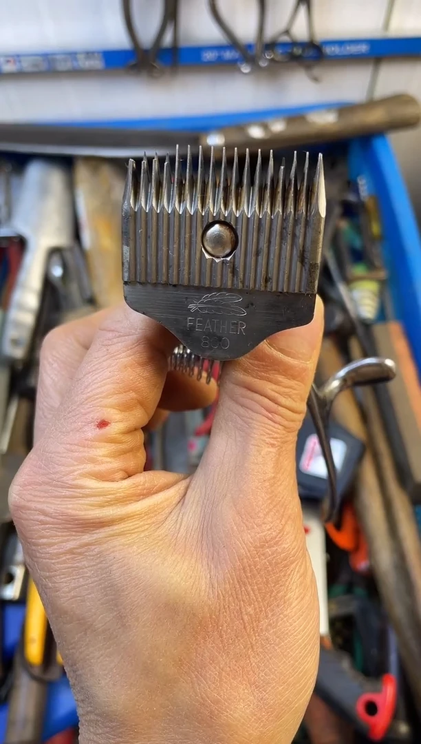 镁阳*老五工具工具工具