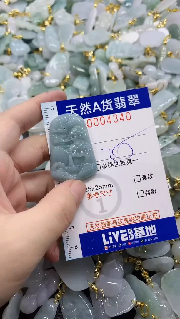 颈饰未镶嵌翡翠天然A货翡翠