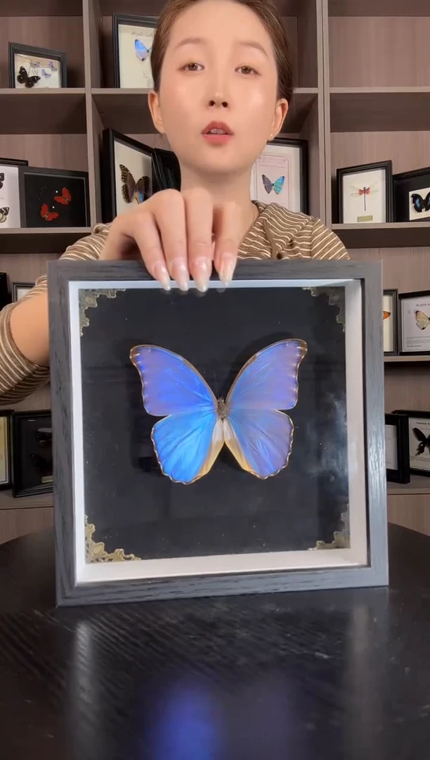 实木竖款晶闪蝶（蝴蝶装饰画8寸框）